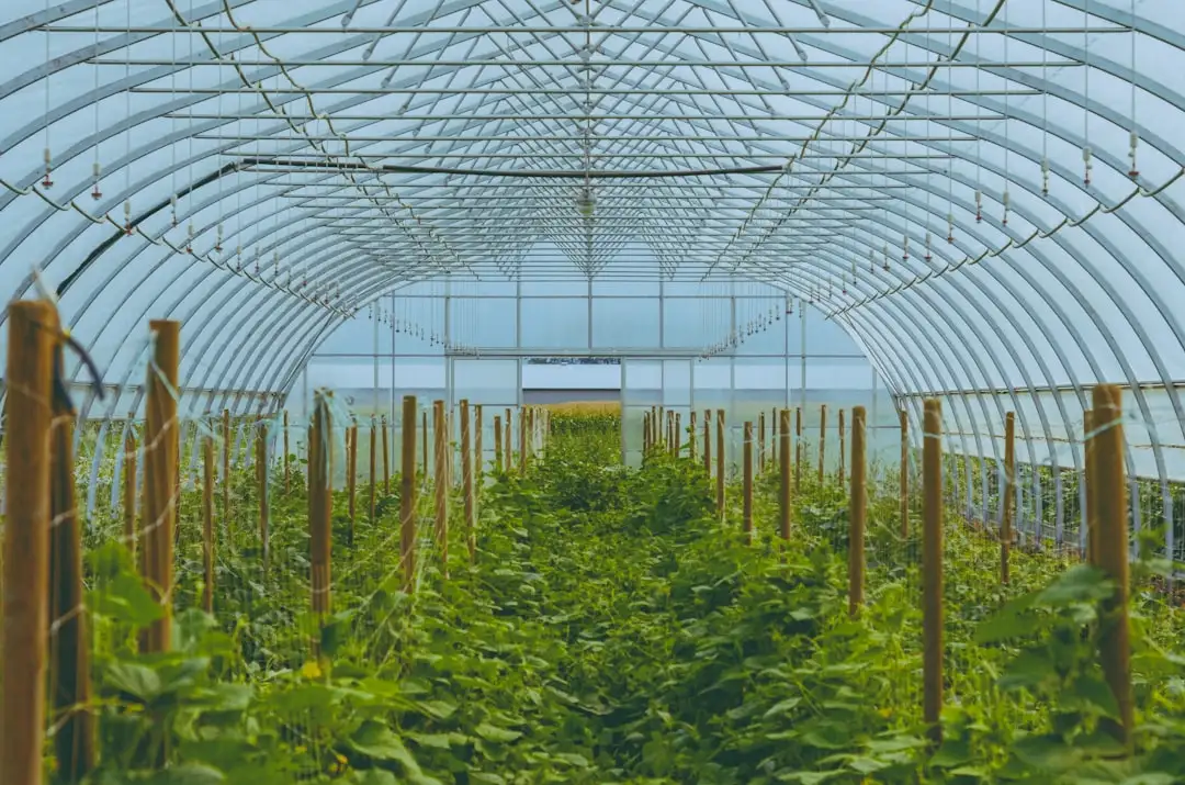 上海铭莜亘食堂承包服务标准化流程与执行要点解析